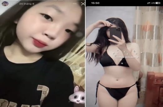 Thỏ tinh tinh bướm đắng hết cả